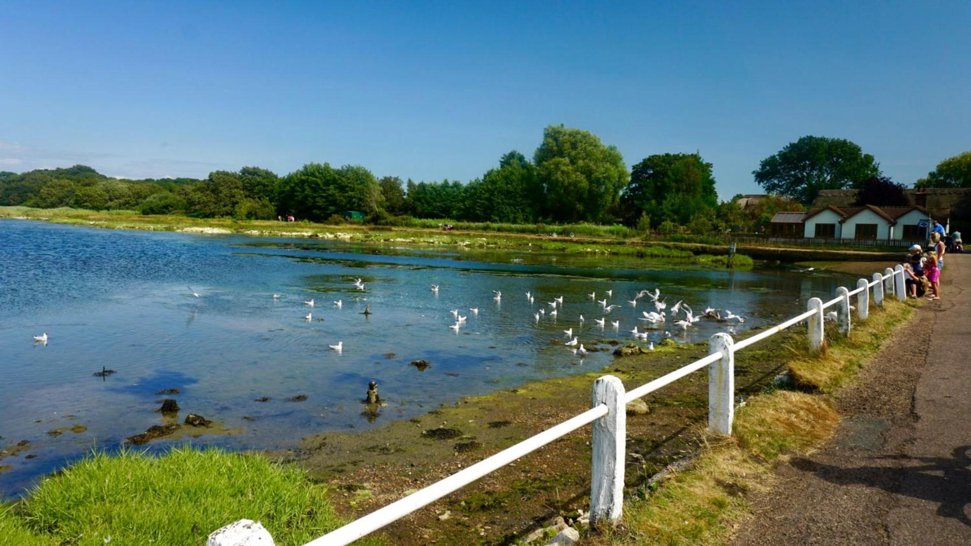 Valley View Self-Catering Coastal Bungalow In Rural West Wight フレッシュウォーター エクステリア 写真